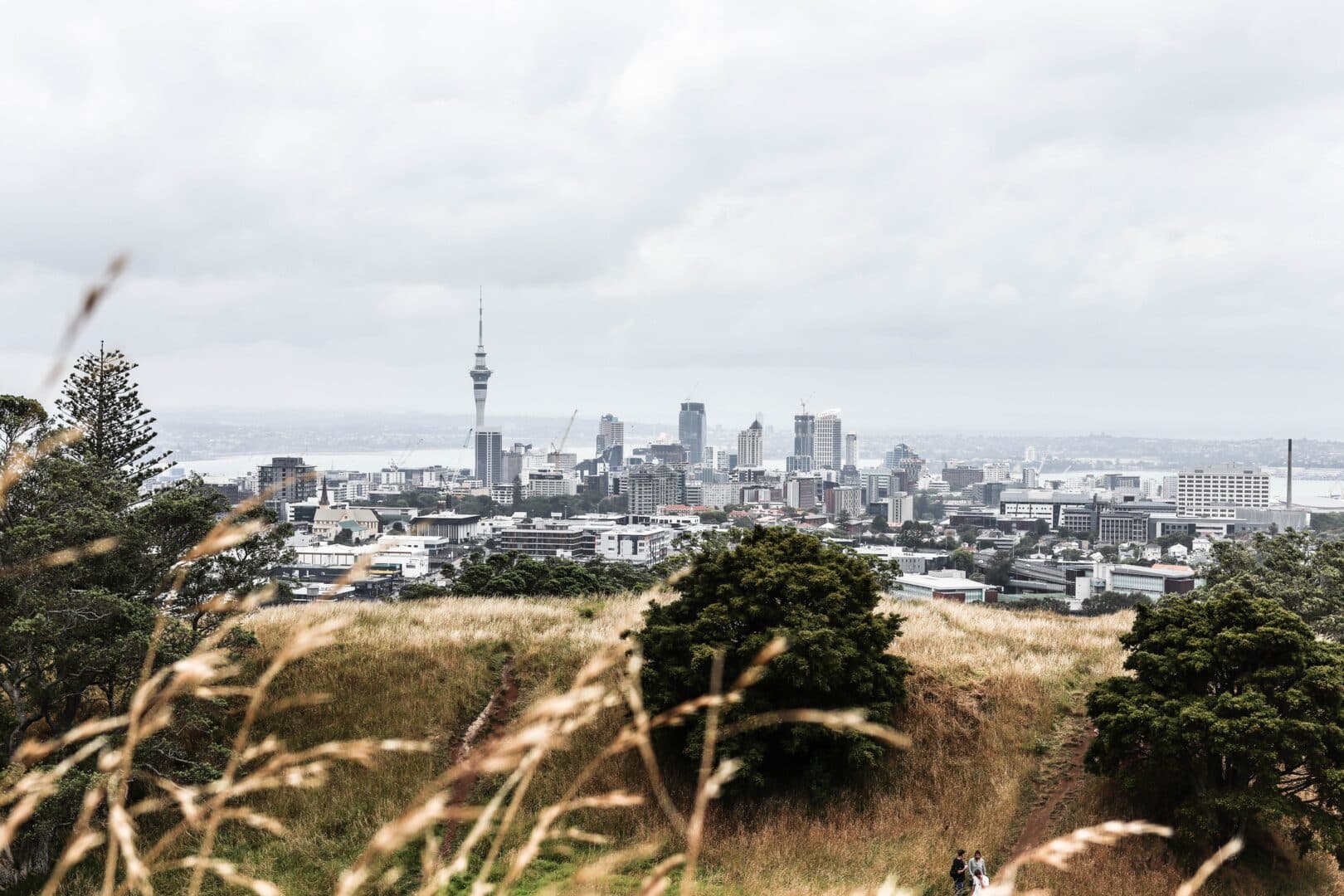 moving to auckland