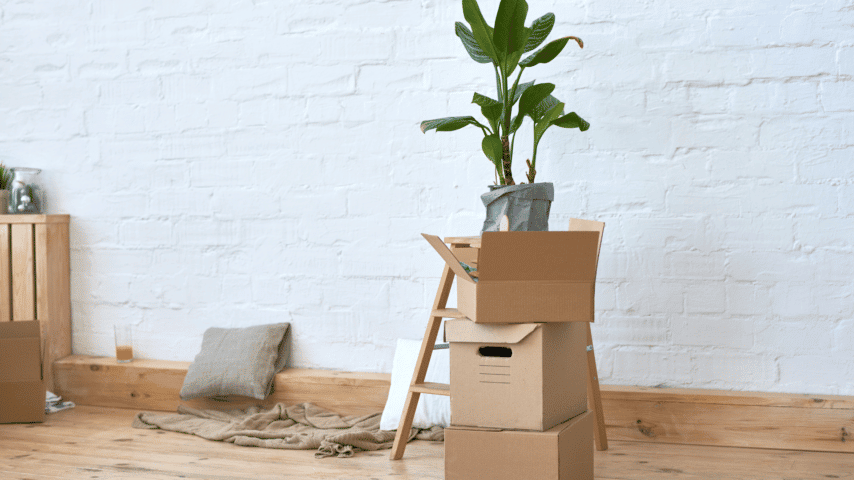 How To Move Plants When Moving House
