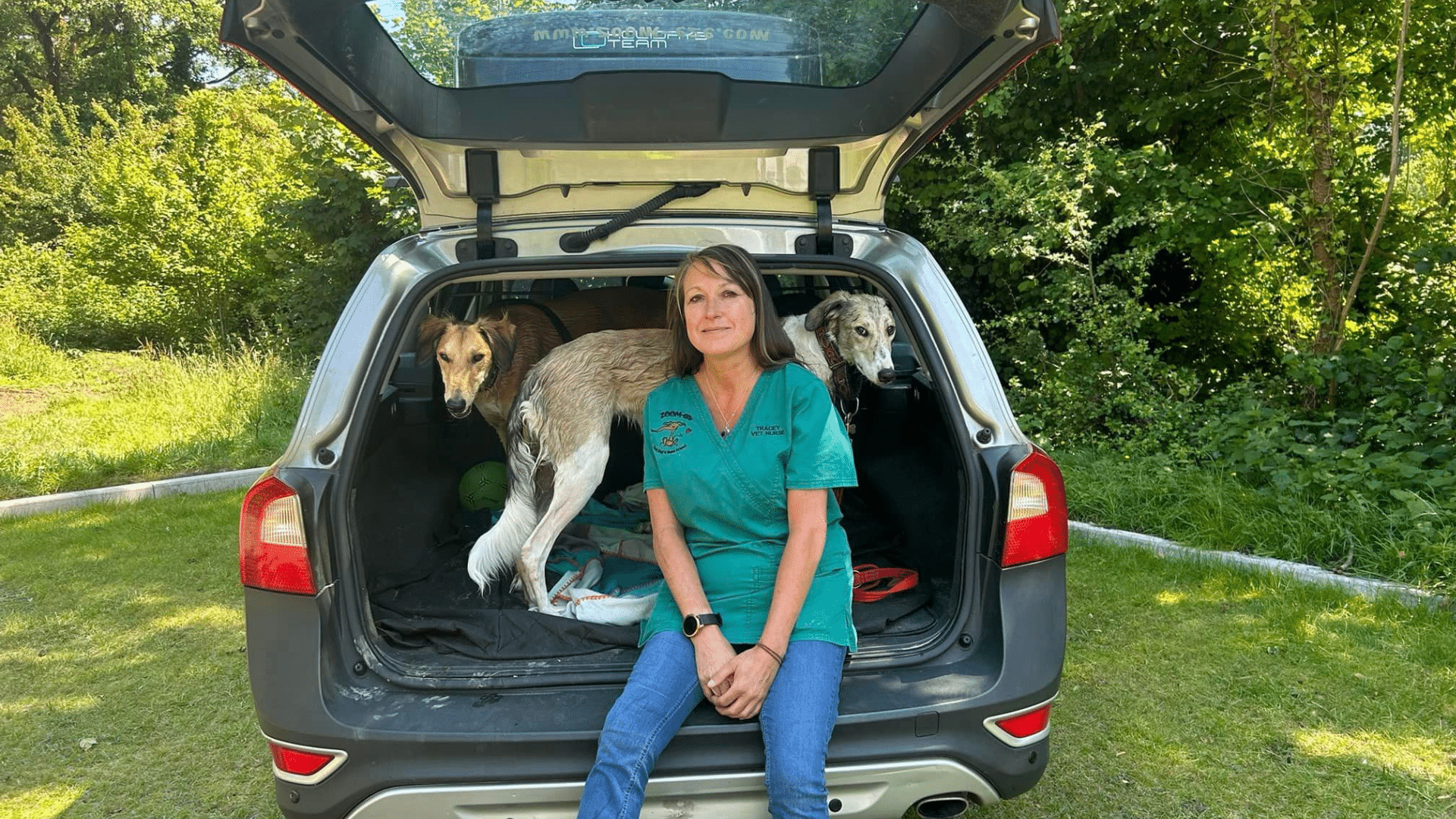 move house with your pet